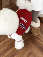 Close-up of the back of a white poodle wearing a red baseball jacket with 'New York 1988' on the back.