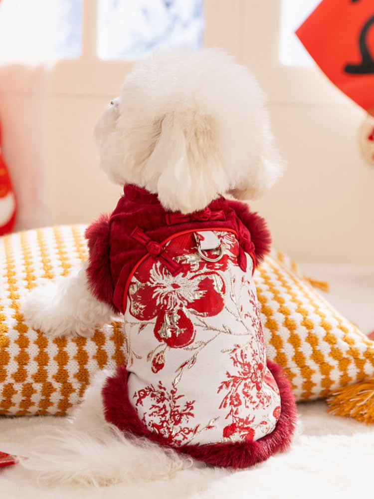 Back view of a white fluffy dog wearing a red and gold traditional Chinese-style coat with floral embroidery