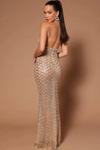 Lunia Sequin Backless Maxi Dress - TEVQA