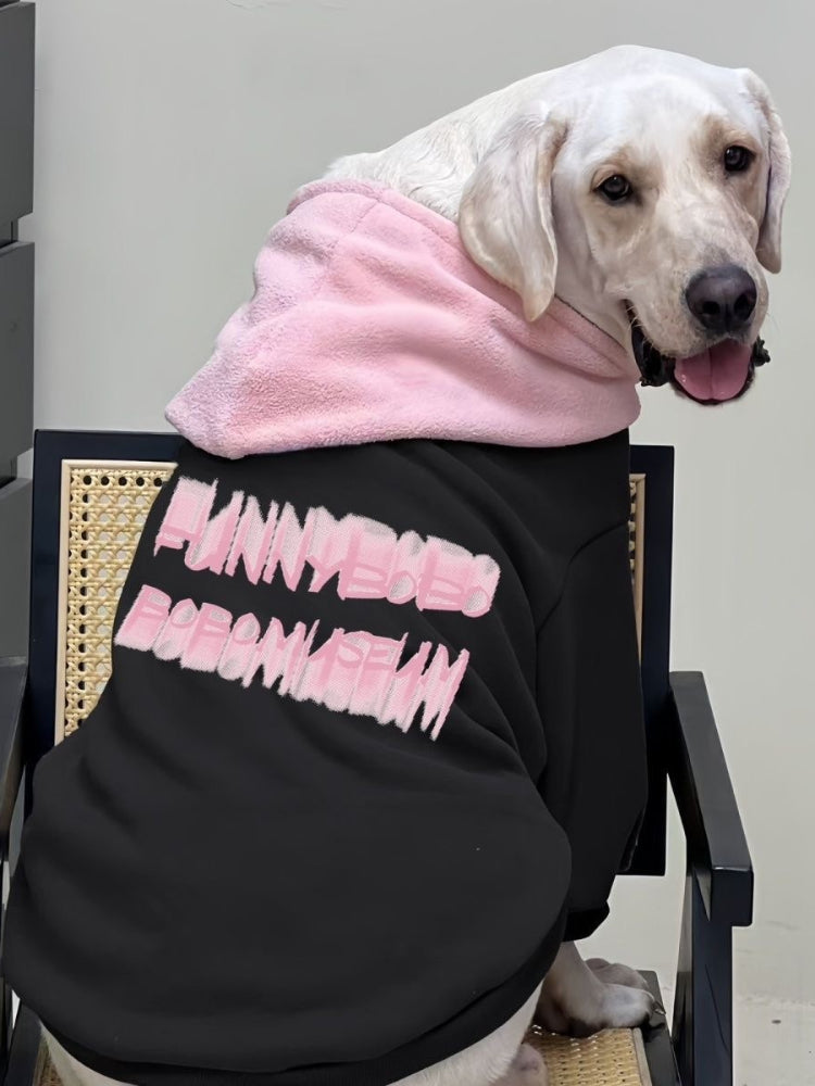 Side view of a Labrador retriever wearing a black hooded sweatshirt with pink text graphic and pink hood lining.