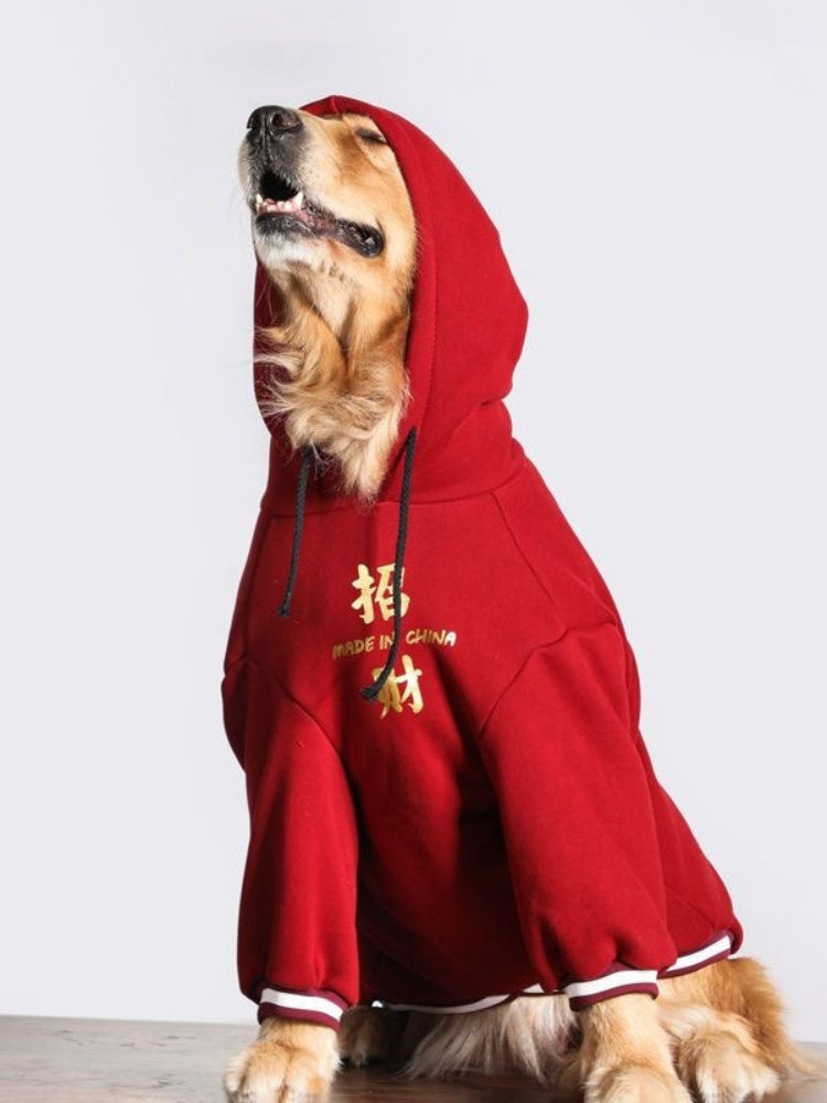 Golden retriever dog looking up while wearing a red hoodie with Chinese characters