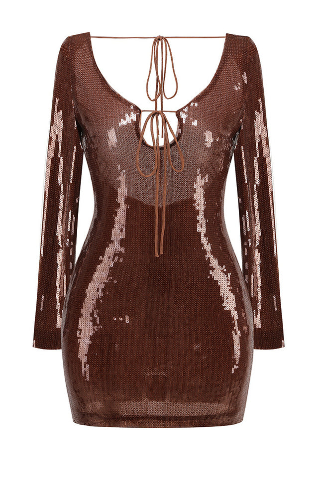 Aoibhe Long Sleeve Sequin Mini Dress | Dress In Beauty