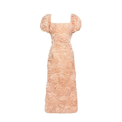 Molly Floral Applique Midi Dress | Dress In Beauty