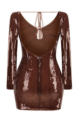 Aoibhe Long Sleeve Sequin Mini Dress | Dress In Beauty