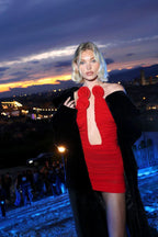 Rose Appliqué Mini Dress - View 7 | TEVQA