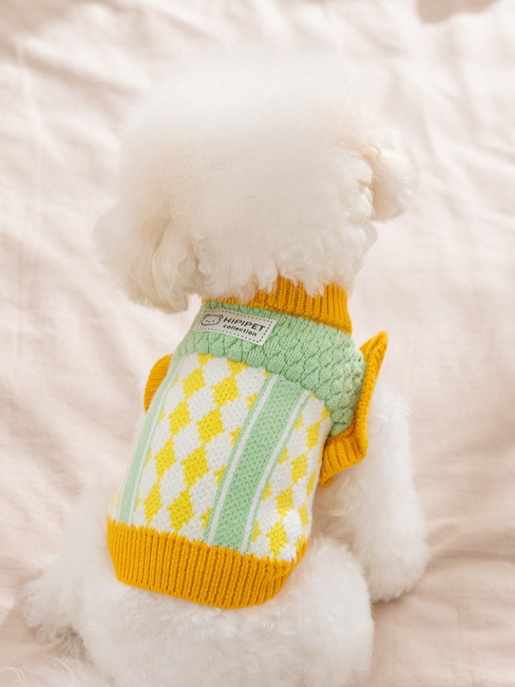 Back view of a white Bichon Frise wearing a green and yellow knit dog sweater with argyle pattern.