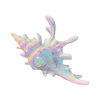 Iridescent seashell hair clip