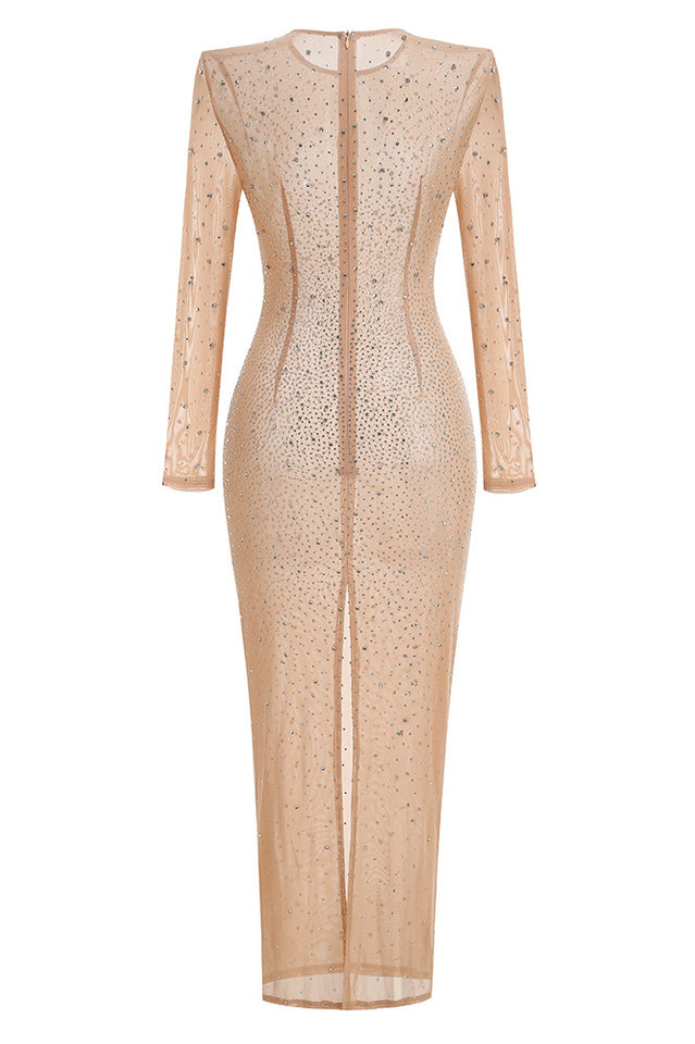 Nude Crystal Embellished Transparent Gown | Dress In Beauty