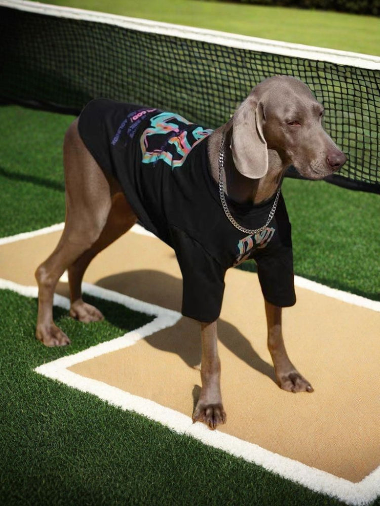 Weimaraner dog wearing a black t-shirt with a colorful graphic print and silver chain, standing on a tan mat on a tennis court.