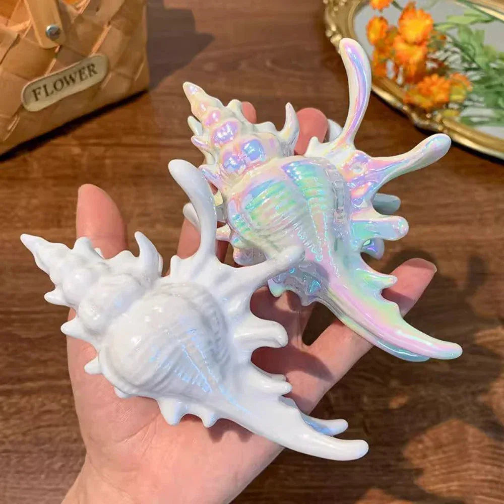 Seashell hair clip held in a hand