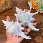 Seashell hair clip held in a hand