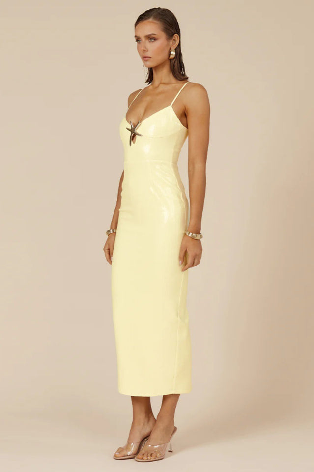 Benito Midi Dress | Dress In Beauty