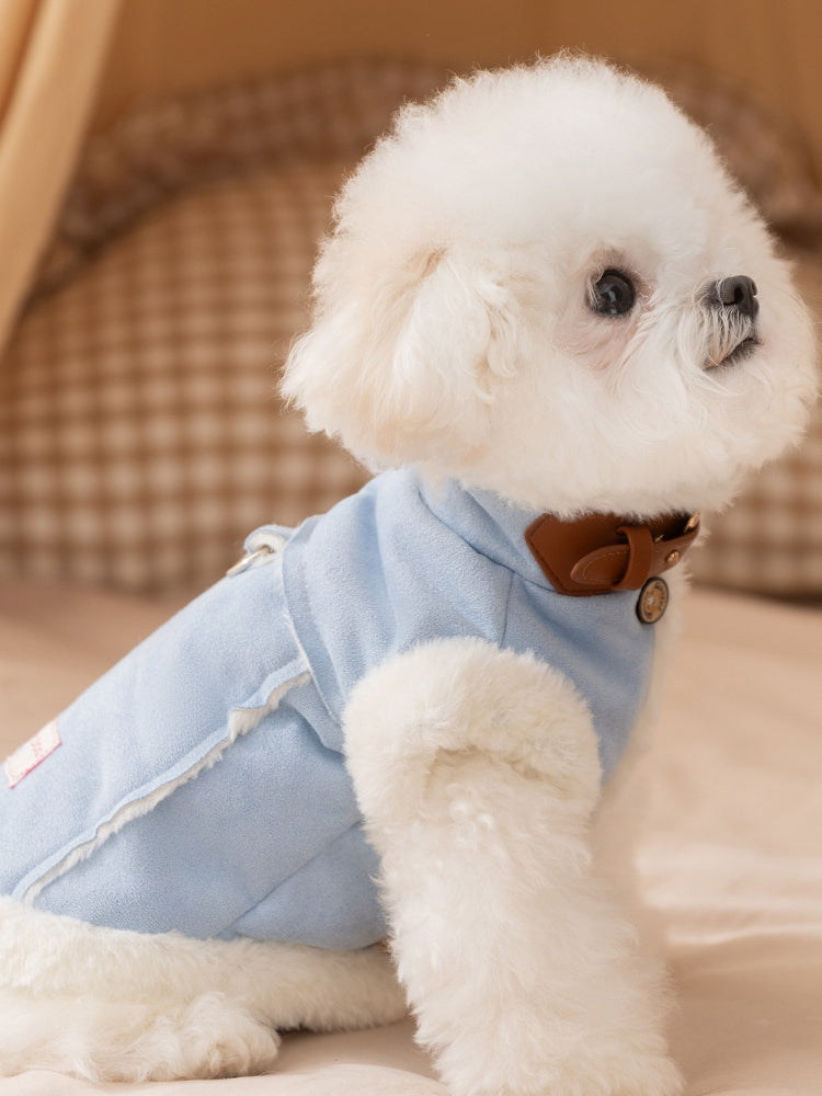 Close-up of a white Bichon Frise dog wearing a light blue dog vest with white faux fur trim and a brown collar.