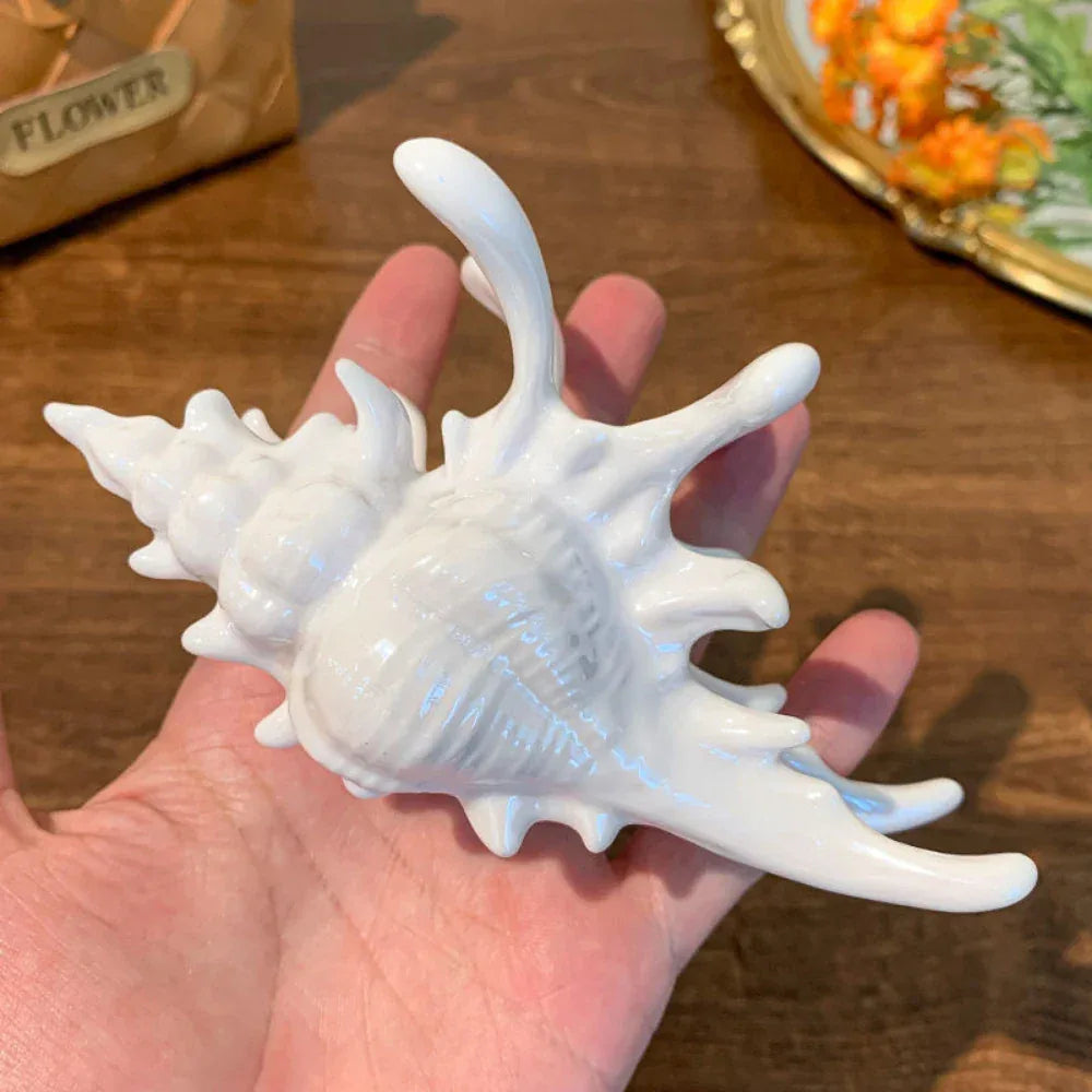 Large Conch Shell Hair Claw Clip - View 6 | TEVQA