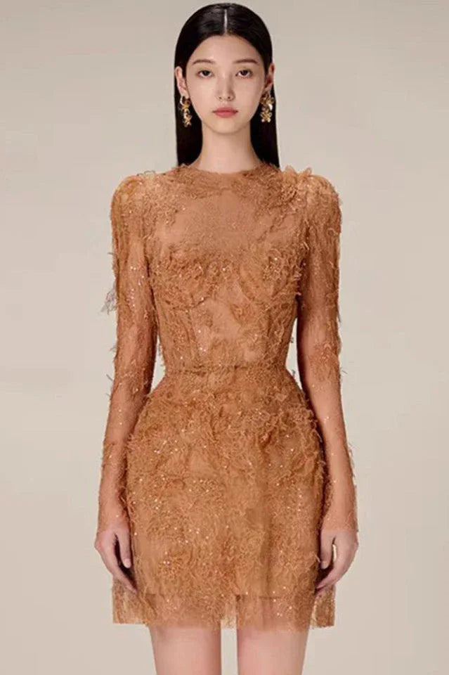 Model wearing a brown lace mini dress with long sleeves and embellishments, front view.