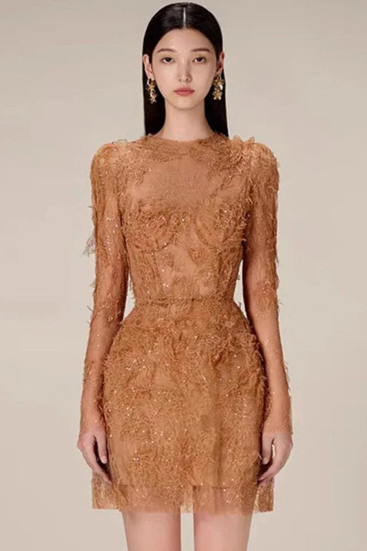 Model wearing a brown lace mini dress with long sleeves and embellishments, front view.