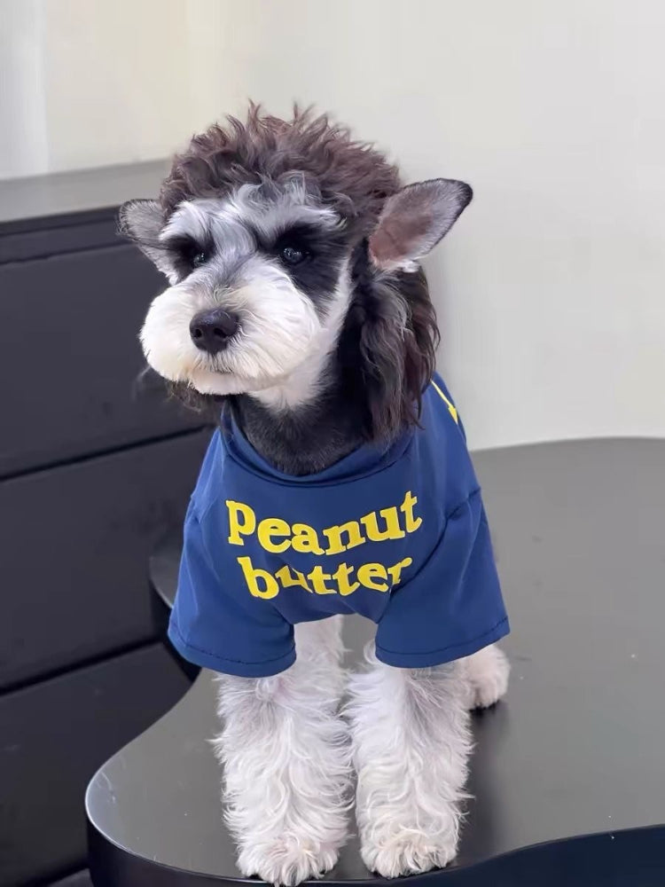 Miniature schnauzer wearing a blue "Peanut Butter" t-shirt