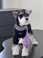 Miniature Schnauzer dog wearing a black and lavender color-blocked fleece sweater with a decorative silver chain detail around the mock neck.