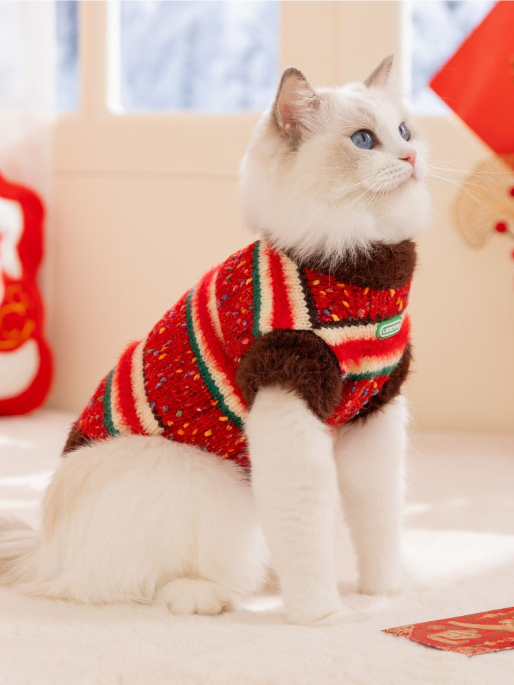 A white ragdoll cat sitting and looking to the side, wearing a red, white, and green striped sweater with a brown collar and trim.