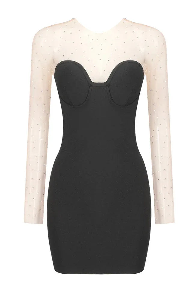 Aarohi Crystal Mesh Mini Dress - TEVQA