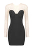 Aarohi Crystal Mesh Mini Dress - TEVQA