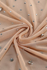 Nude Crystal Embellished Transparent Gown | Dress In Beauty