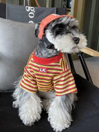 Miniature schnauzer dog wearing a striped t-shirt and orange baseball cap