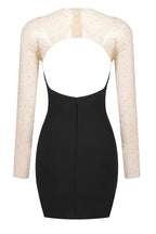 Aarohi Crystal Mesh Mini Dress - TEVQA