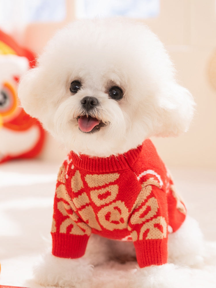 A white Bichon Frise dog wearing a red knit sweater with gold embroidered Chinese characters.