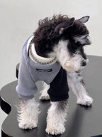 Rear view of a Miniature Schnauzer dog in a grey and black fleece sweater, with a decorative silver chain detail visible at the neckline.