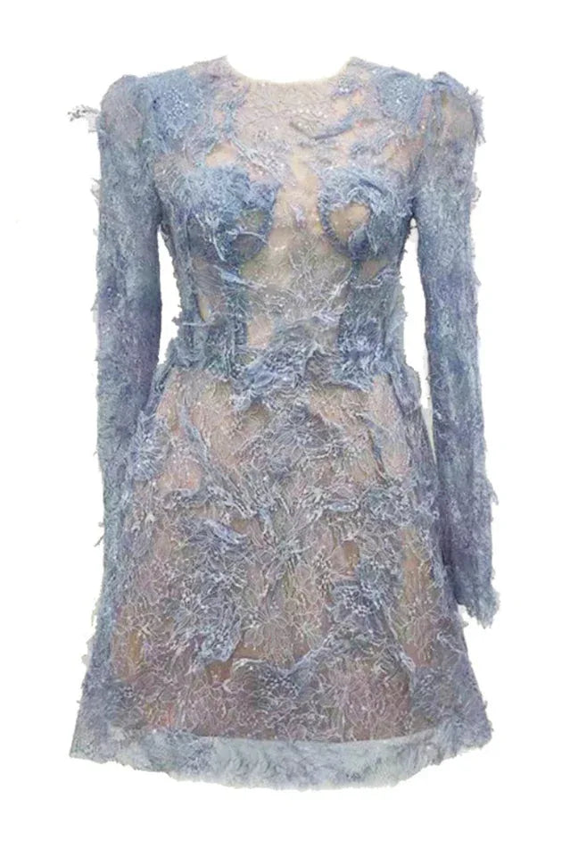 Embellished Lace Mini Dress - View 7 | TEVQA