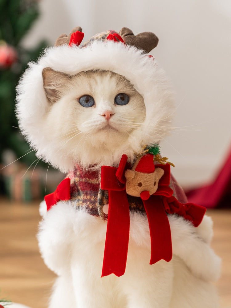 White cat wearing a festive red plaid cape with reindeer antlers and faux fur trim.