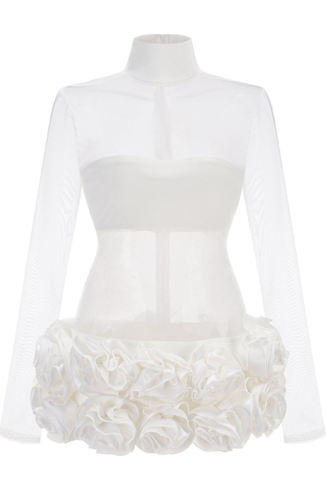 Sally Mock Neck Sheer Mini Dress | Dress In Beauty