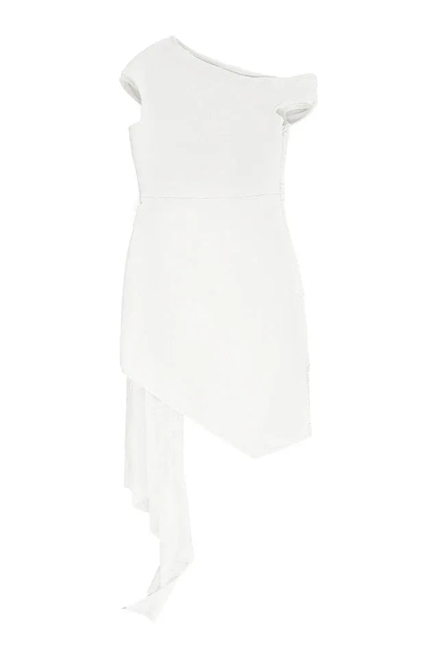 Asymmetric Rose Mini Dress - View 6 | TEVQA