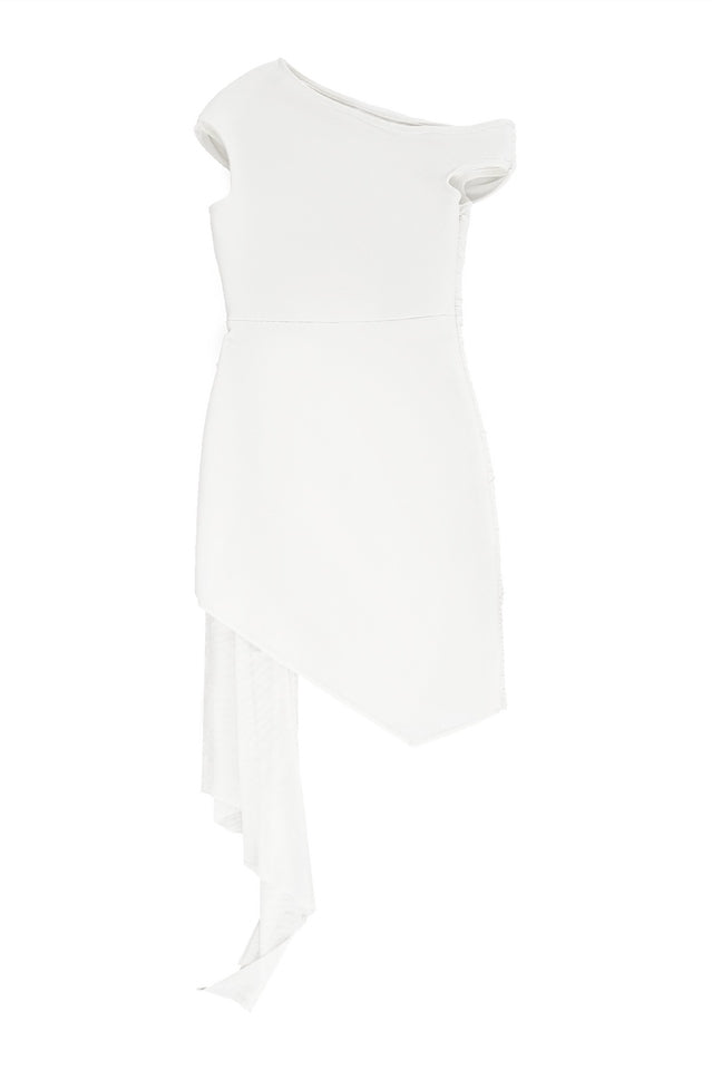 Asymmetric Embroidered Rose Mini Dress | Dress In Beauty