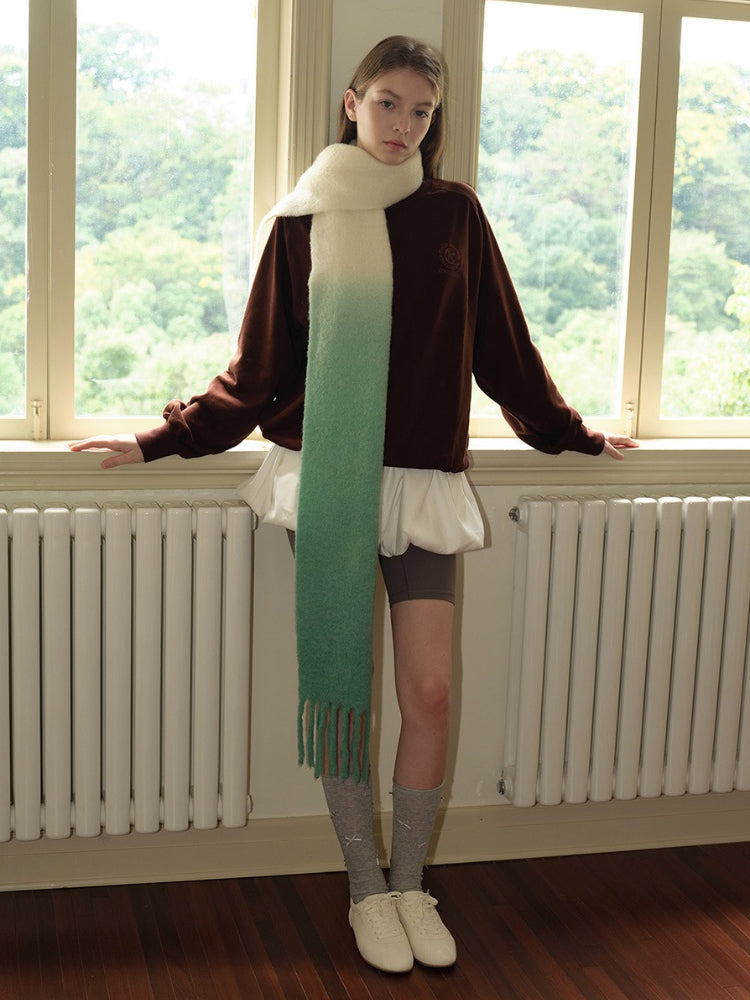 Ombre wool blend scarf with fringe detail - View 15 | TEVQA