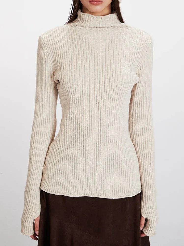 Minimalist Ribbed High Neck Knit Top - TEVQA