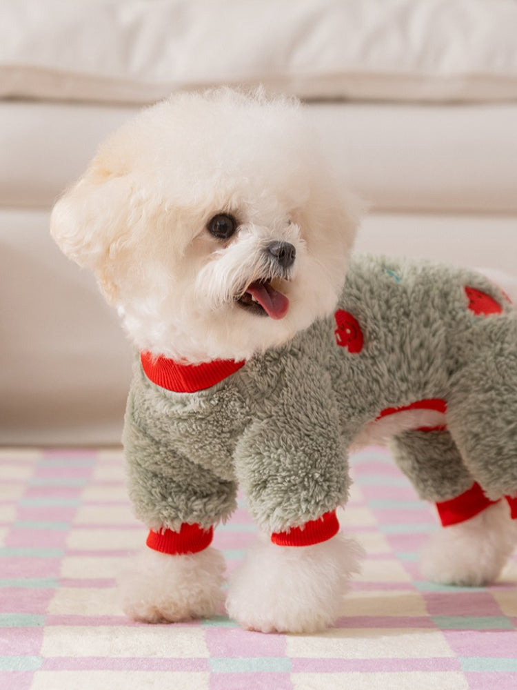 A white Bichon Frise dog stands on a checkered rug, wearing a light green fleece dog jumpsuit with red cuffs and collar. The dog is looking to its left with its tongue slightly out.