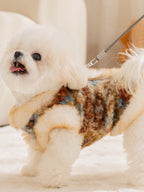 A Bichon Frise dog wearing a tweed and faux fur vest, with a leash attached, standing on a rug.