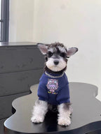 Front view of a Mini Schnauzer puppy wearing a navy blue sweatshirt with a pink monster graphic and chain detail, sitting on a black table.