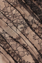 Aliza Lace and Mesh Fit and Flare Dress - View 18 | TEVQA