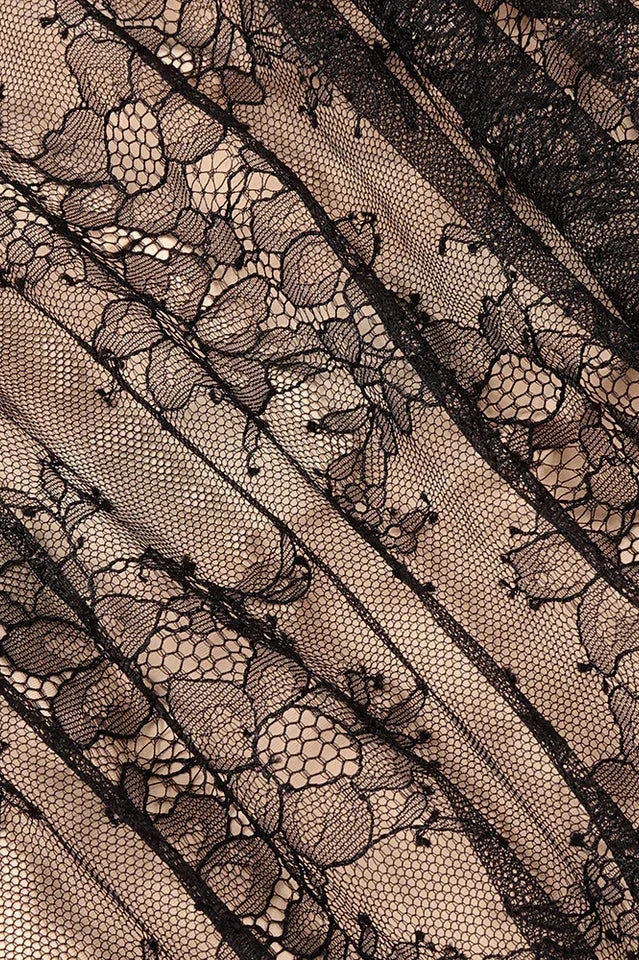 Aliza Lace and Mesh Fit and Flare Dress - View 18 | TEVQA
