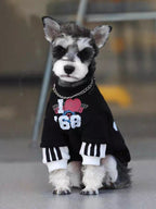 Mini Schnauzer dog wearing a black graphic print sweater with white ribbed sleeves