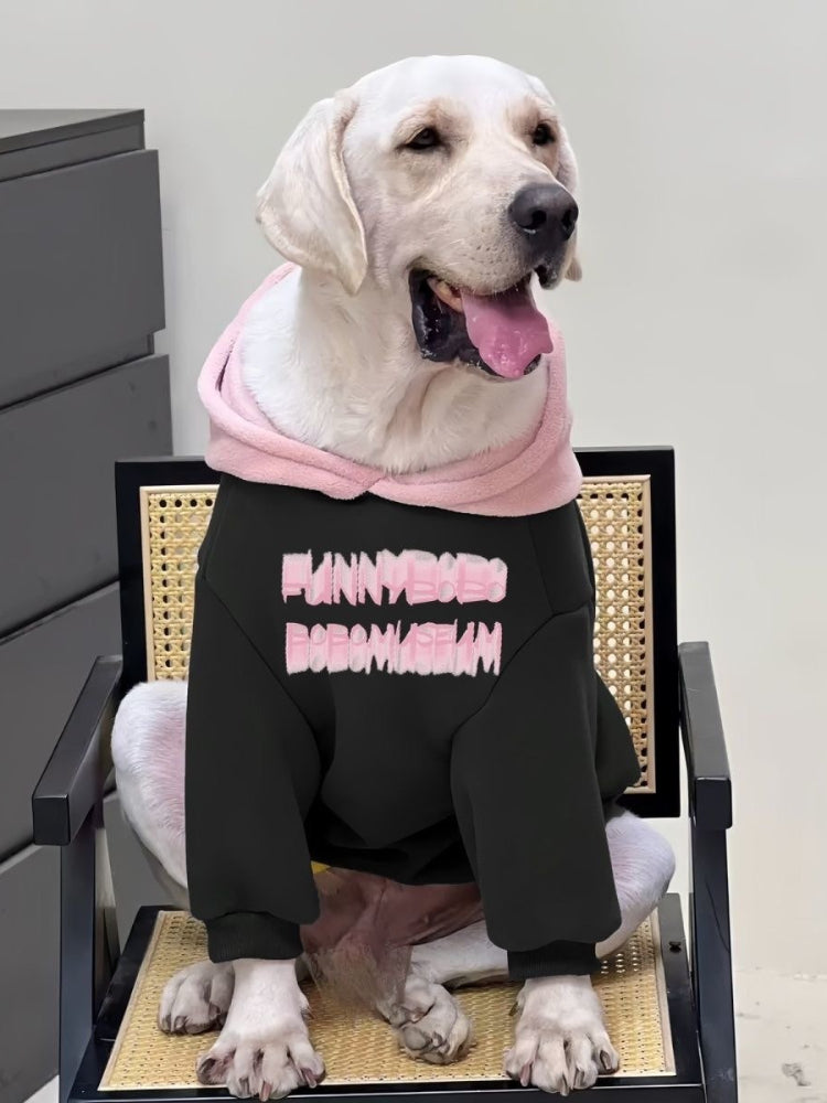Labrador retriever wearing a black hooded sweatshirt with pink text graphic on the back and a pink hood lining, sitting on a chair.