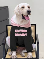 Labrador retriever wearing a black hooded sweatshirt with pink text graphic on the back and a pink hood lining, sitting on a chair.