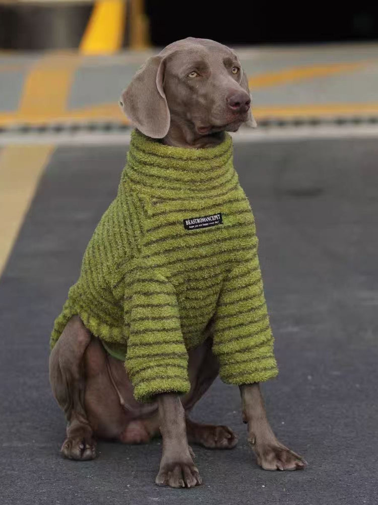 Weimaraner dog wearing a lime green striped dog sweater sitting on asphalt