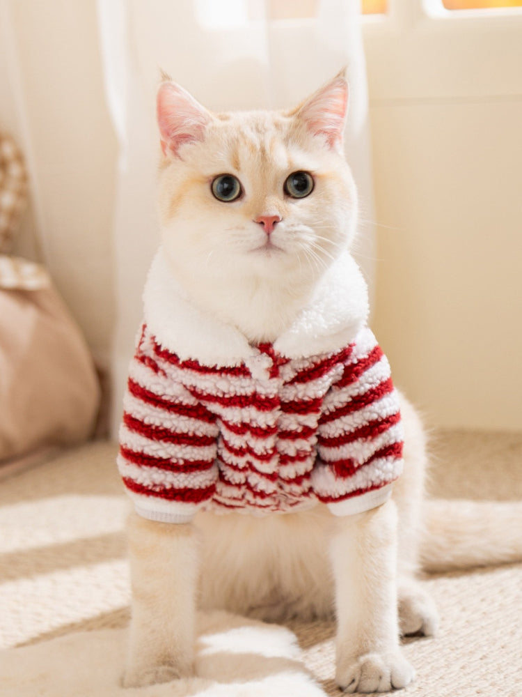 A cream-colored cat wearing a red and white striped fleece pet sweater with a white faux shearling collar, sitting indoors facing the camera.