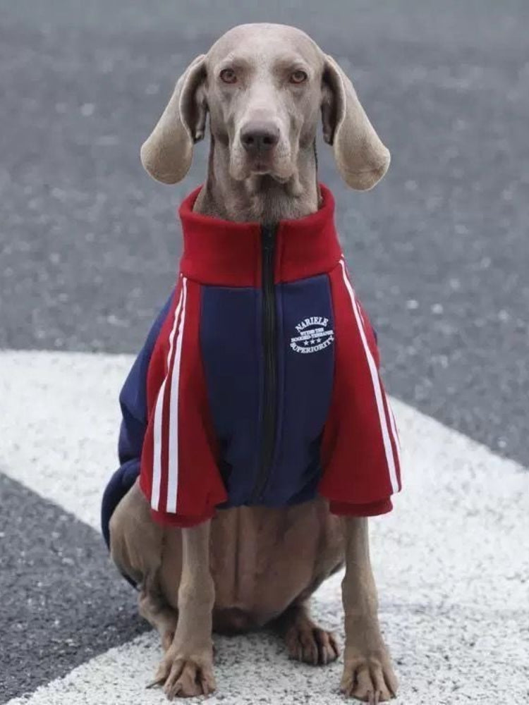 Sporty Zip-Up Fleece Track Jacket For Large Dogs