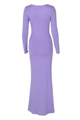 Parisa Bodycon Maxi Dress | Dress In Beauty