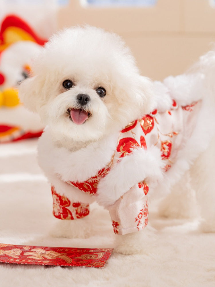 Red floral brocade pet tang suit coat with white faux fur collar and trim - View 6 | TEVQA